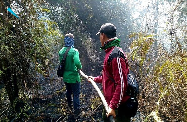 Wagubri Ingatkan Penjara Sudah Menanti Pembakar Lahan Di Riau