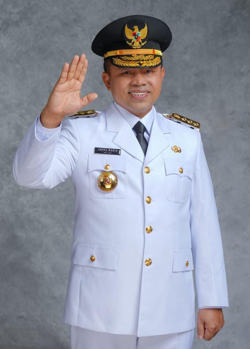 Gubernur Abdul Wahid